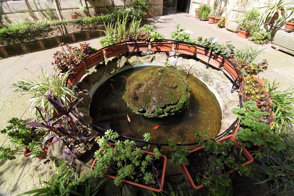 Elegance Bed & Breakfast Roma Dış mekan fotoğraf
